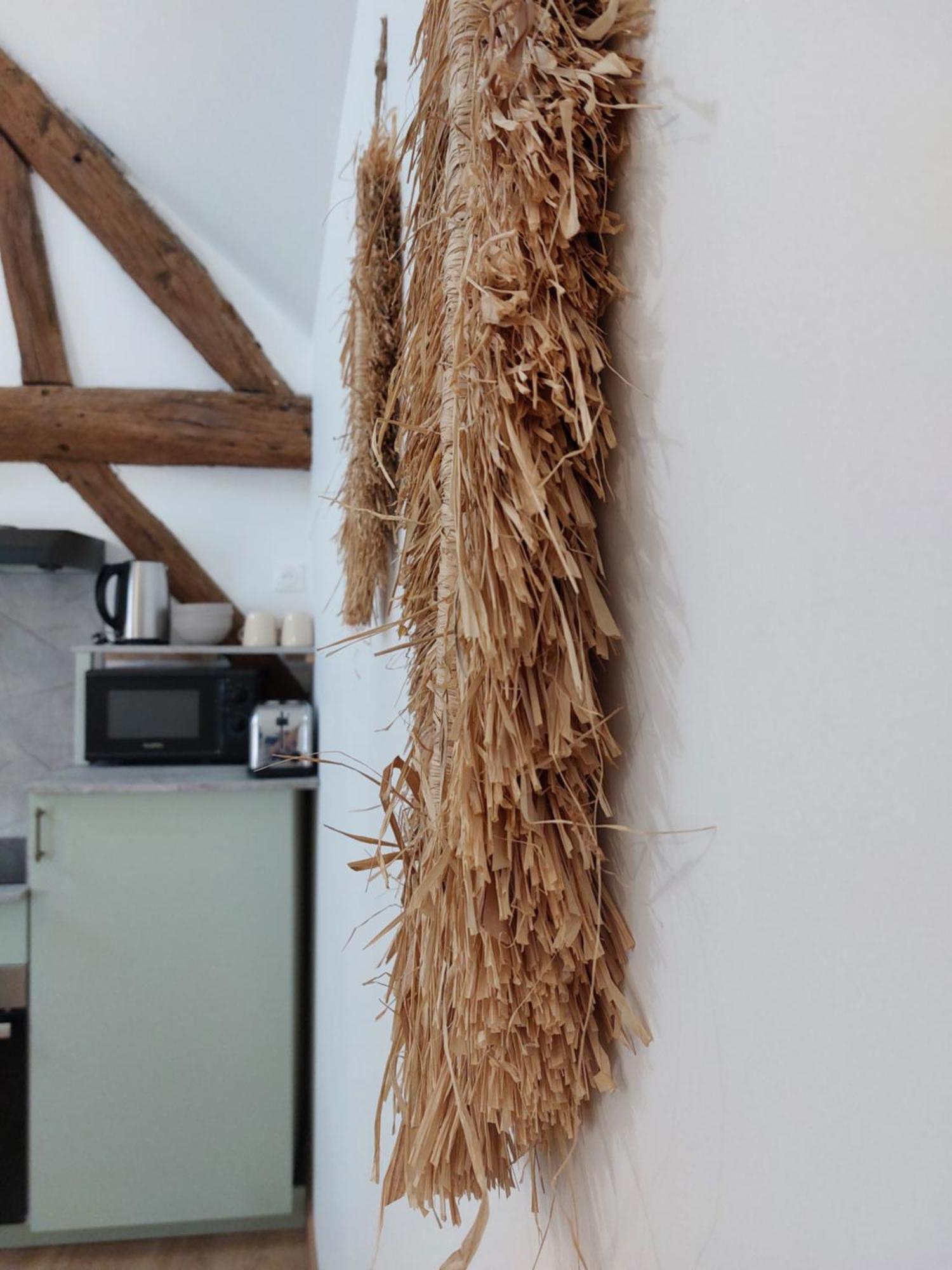 Appartements L'Hirondelle Beaugency Exteriör bild